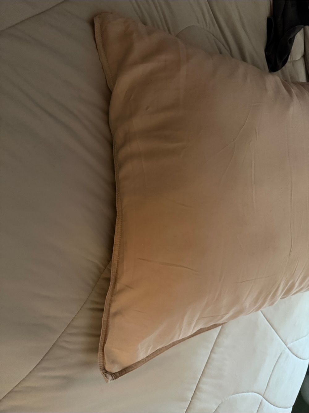 Quince Bamboo Standard Queen Sham Set in Soft Blush Pink
